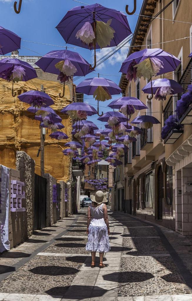 Apartamentos Tierra Lavanda Brihuega Luaran gambar